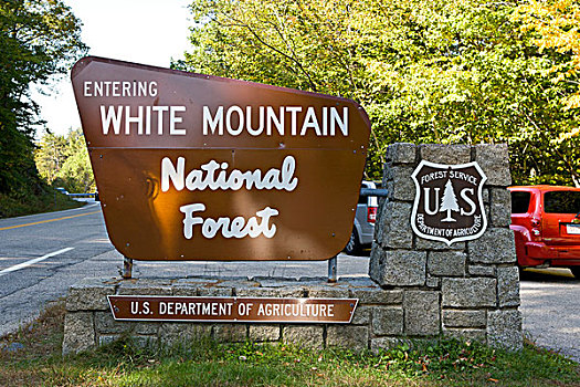 标识,白色,山,国家公园,新罕布什尔,新英格兰,美国