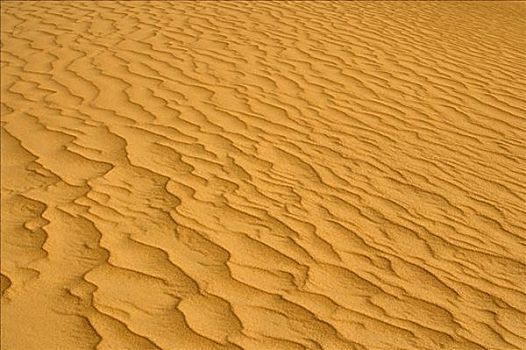 波纹,沙子,利比亚