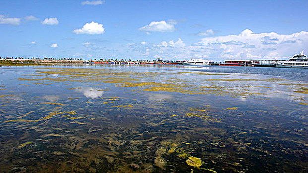 青海湖