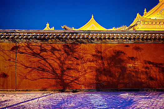 内蒙古大昭寺雪夜景