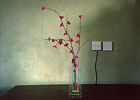 红色,塑料制品,花,花瓶,墙壁