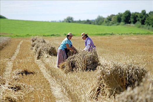 两个女人,捆绑,捆,稻草,巴伐利亚,德国,欧洲