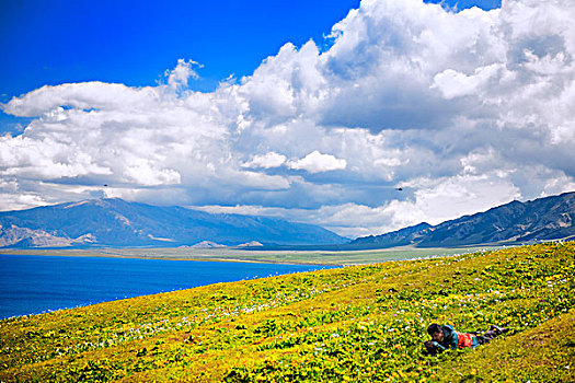 新疆,湖泊,草地,野花