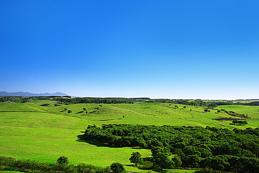 农场,北海道