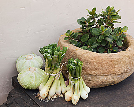 洋葱,卷心菜,植物,石头,容器,木桌子,安达卢西亚,西班牙