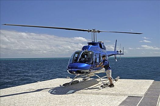直升飞机,观光,飞行,大堡礁,澳大利亚