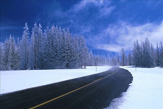 公路,犹他,冬天