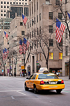 孤单,出租车,第5大道,曼哈顿,纽约,美国
