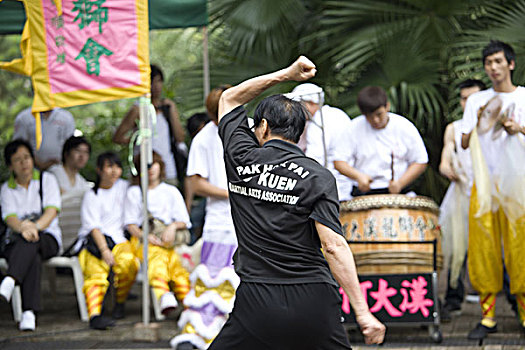 武术,功夫,表演,九龙,公园,香港