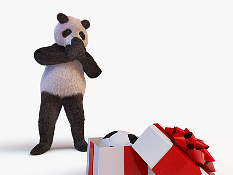 喜悦,可爱,大熊猫,竹子,站立,看,盒子,礼物,室内,新,足球,惊讶,生日,特写,口鼻部,爪子