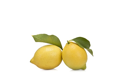 柠檬,叶子