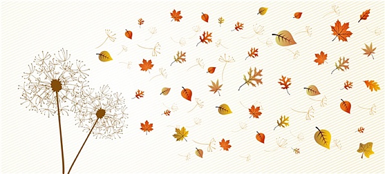 秋天,蒲公英,树,叶子,构图,背景,文件