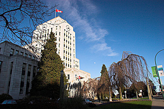 温哥华,市政厅,风景,加拿大国旗,清晰,冬天,白天