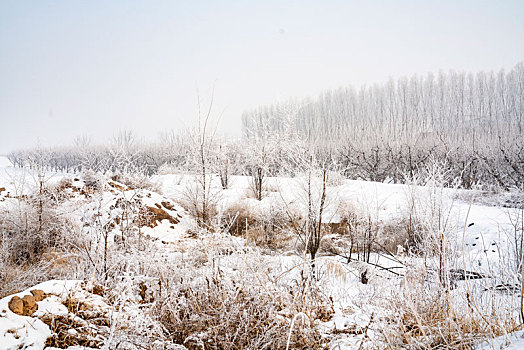 乡村雪景