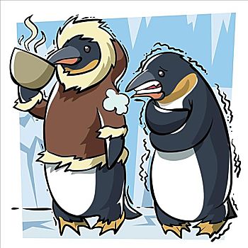 两个,企鹅,站立,一起