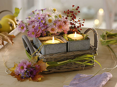 秋天,篮子,紫苑属,玫瑰,小,锡,罐