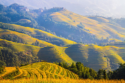 中国广西桂林龙脊梯田日照美景