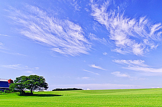 草,山,蓝天,云