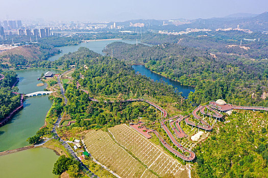 航拍广东珠海香山湖公园香山云道