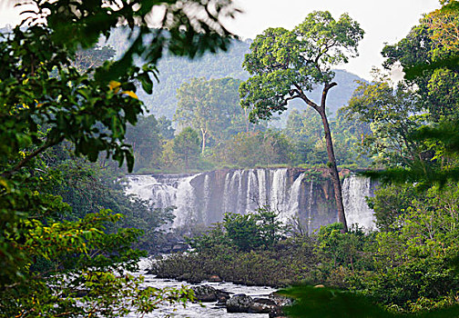 瀑布,高原,老挝