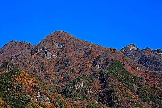 山,秋天