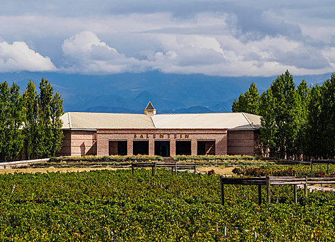 葡萄酒厂,门多萨,省,阿根廷,南美