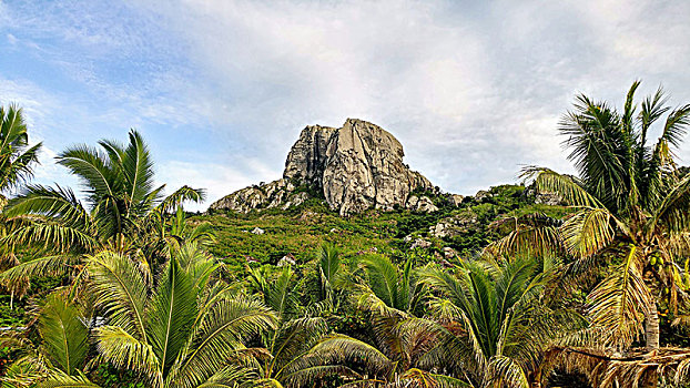 风景,石头,棕榈树,前景,斐济