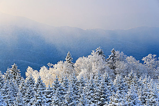 吉林省仙峰国家森林公园雪景