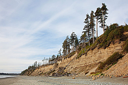 侵蚀,沙子,悬崖,湾,环太平洋国家公园,靠近,不列颠哥伦比亚省,加拿大