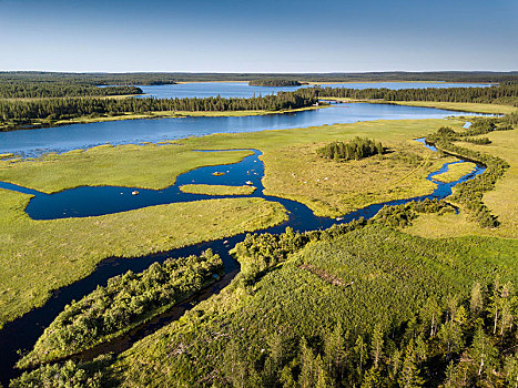 湖,风景,河漫滩,湿地,荒野,北方生物带,北极,针叶树,树林,水,水道,芬兰,欧洲