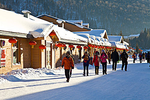 雪乡,双峰林场,村庄,风景,白天,黑龙江,牡丹江