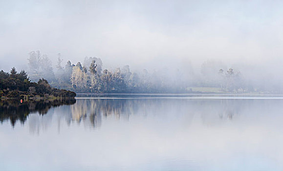 雾,堤岸,湖,峡湾,南岛,新西兰