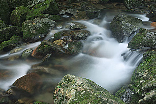 山谷,河流,石头