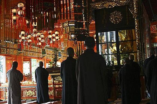 后视图,多人,祈祷,寺院,昂坪,大屿山,香港