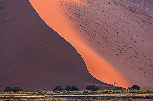 巨大,沙丘,索苏维来地区,国家公园,纳米比亚