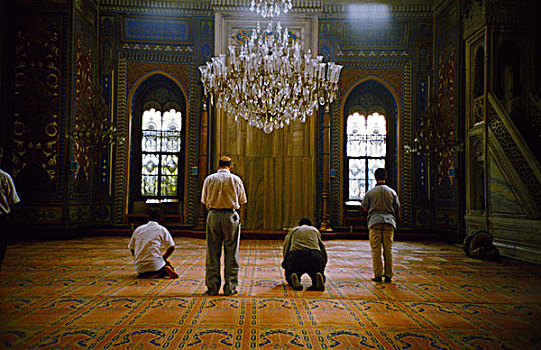 清真寺,室内,男人,祈祷,跪着,站立,巨大,晶莹,吊灯,华丽,地毯,拱窗,伊斯坦布尔,土耳其