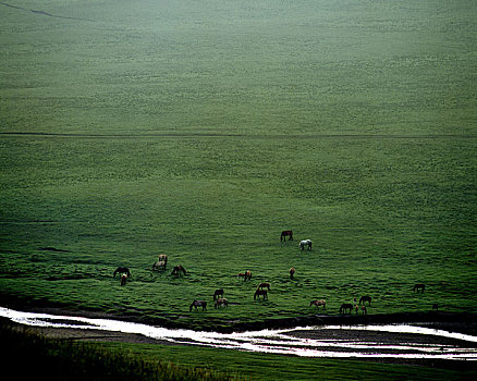 内蒙古草原小河流水