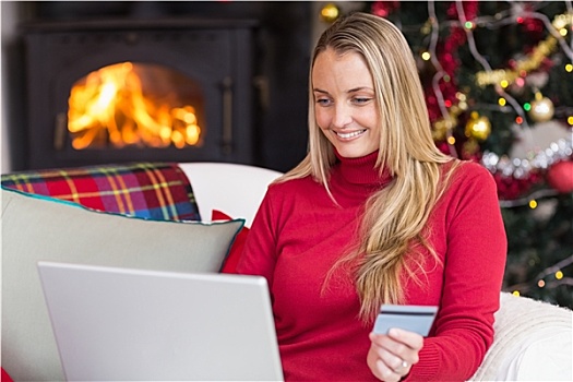 女人,网上购物,笔记本电脑,信用卡