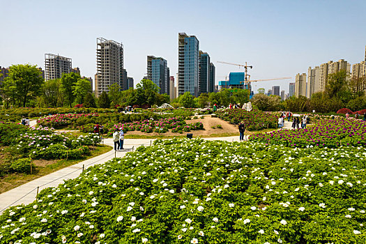 植物园春景