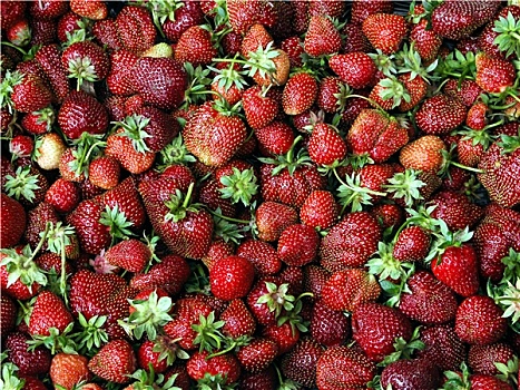 红色,草莓,背景