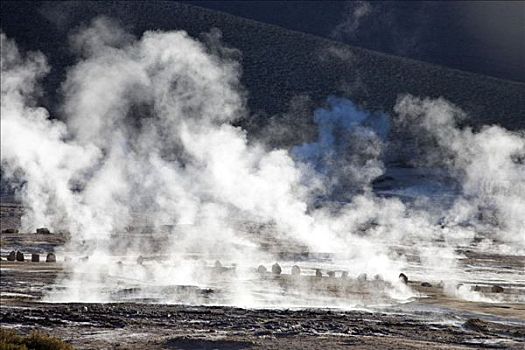 温泉,蒸汽,日出,安托法加斯塔,智利,南美