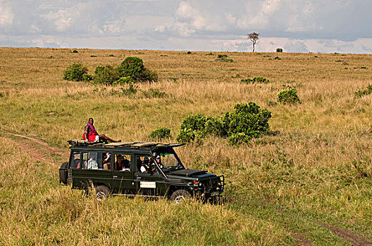 吉普车,旅游,马赛马拉国家保护区,肯尼亚