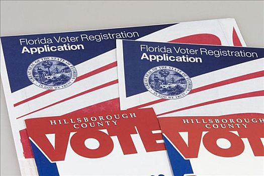 选民,注册,卡,选举,佛罗里达,美国