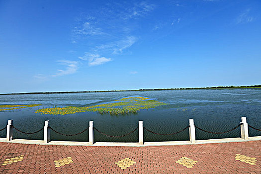 千鸟湖湿地