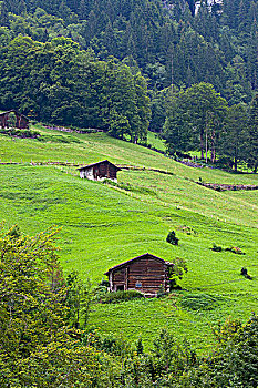 瑞士阿尔卑斯少女峰,jungfrau