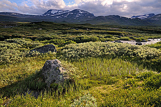 山谷,山景,尤通黑门山,国家公园,挪威,斯堪的纳维亚,欧洲