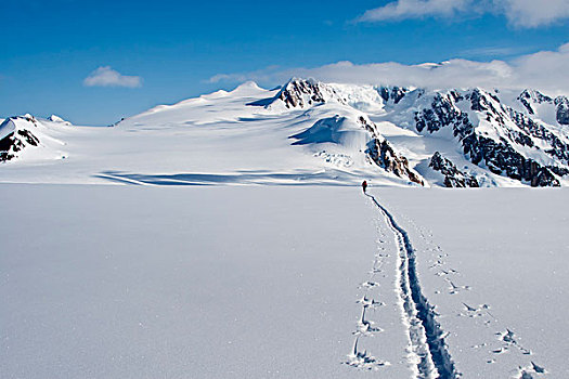 滑雪者,登山,小路,高原,攀登,攀升,冬天,阿拉斯加