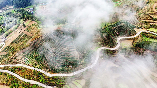 重庆酉阳,青山雾漫别样美