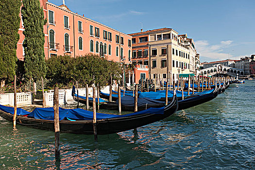 小船,运河,大,里亚尔托桥,威尼斯,威尼托,意大利,南欧