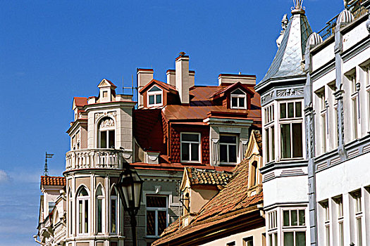 街道,历史,房子,老城,维尔纽斯,立陶宛